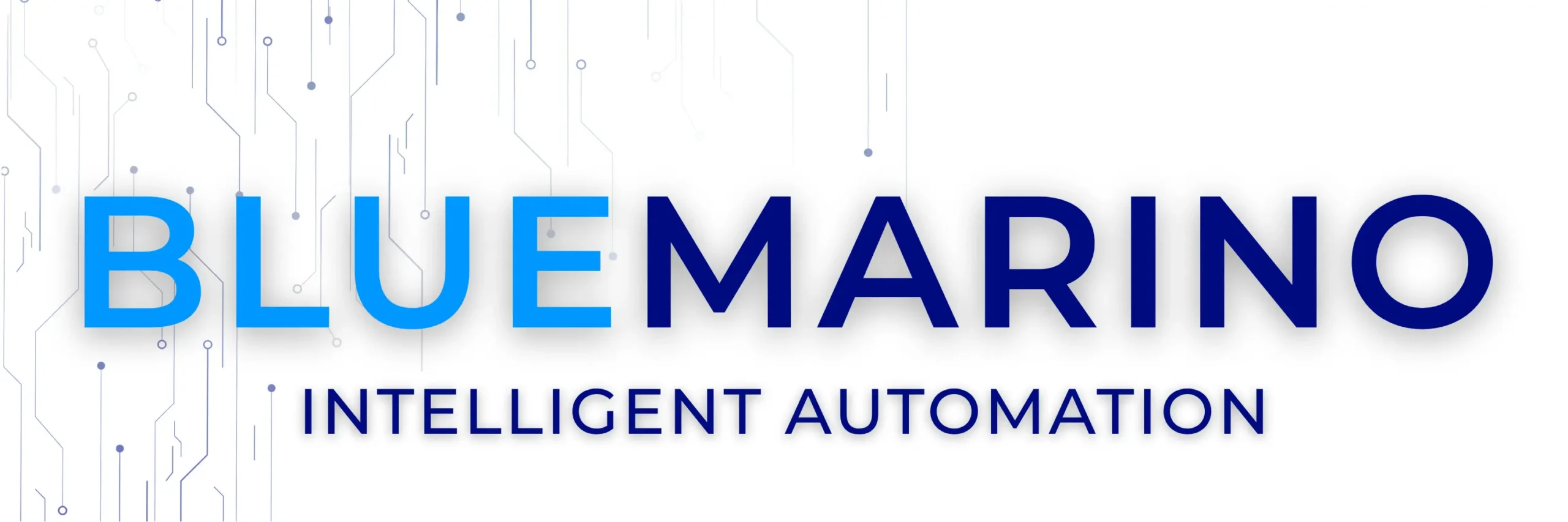 BlueMarino Group company logo with AI Automation tagline in blue and dark navy.